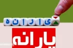 یارانه نقدی این خانوارها به کالا برگ تبدیل می شود