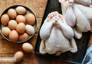 سیگنال عجیب به بازار مرغ | افزایش قیمت تخم مرغ قطعی شد؟