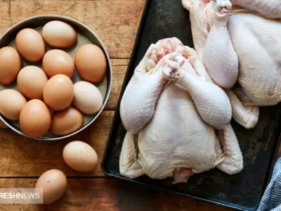 سیگنال عجیب به بازار مرغ | افزایش قیمت تخم مرغ قطعی شد؟
