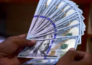 قیمت دلار امروز ۲۴ آذر در بازار آزاد اعلام شد + جدول ارز