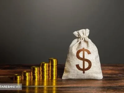 پیشنهاد غیرمنتظره آقای نماینده به دولت | حقوق کارگران و کارمندان را به دلار بدهید