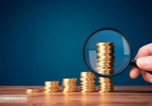 مجلس تکلیف هدفمندی یارانه‌ ها را روشن کرد