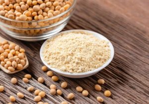 پودر پروتئین سویا ایزوله چیست