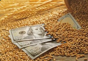 هزینه واردات جهانی مواد غذایی در سال ۲۰۲۵ رکورد زد؛ پیش بینی افزایش ۸درصدی هزینه ها